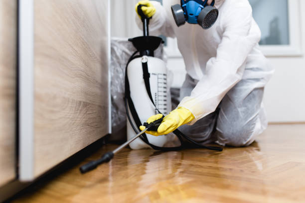 Best Affordable Pest Control Services  in Hazardville, CT