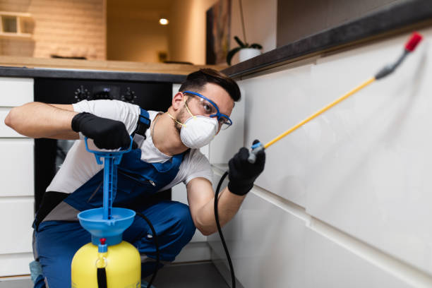 Best Bed Bug Extermination  in Hazardville, CT