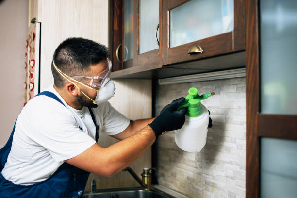 Best Flea Control Services  in Hazardville, CT
