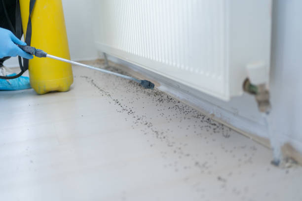 Best Pest Inspection Near Me  in Hazardville, CT